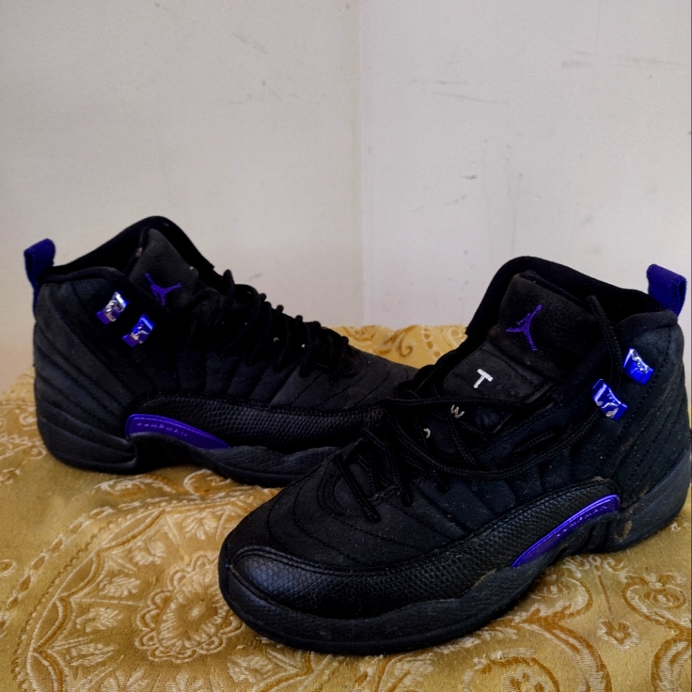 Air Jordan 12 size 5